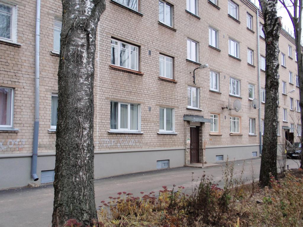 Central Cietoksna Street Apartment Daugavpils Exterior foto